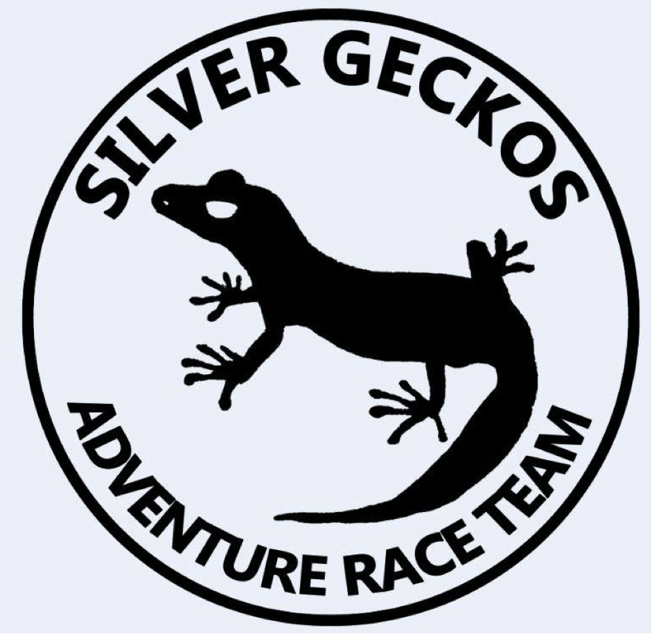 silver geckos